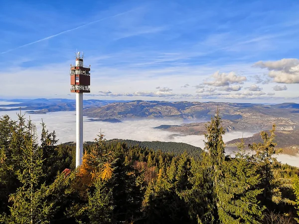 stock image View of TV tower and city over pine forest with blue sky