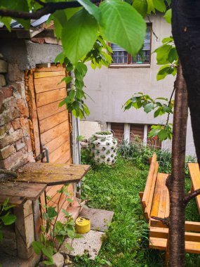 Bahçedeki plastik fıçıda çilekler