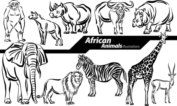 Animaux Africains Dessin Animalier Doodle Set Collection Illustration Vectorielle — Image vectorielle