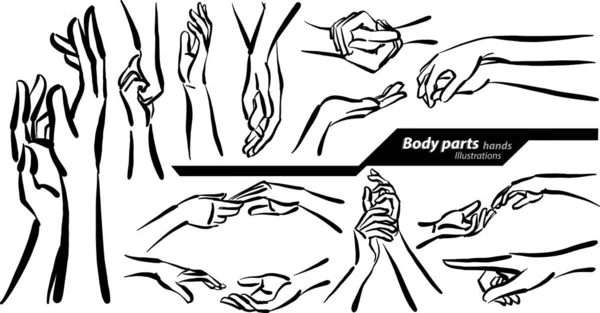 Partes Corpo Mãos Doodle Desenho Desenho Vetor Ilustração — Vetor de Stock