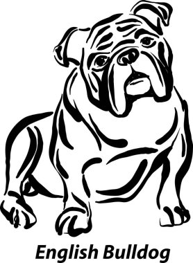 Siyah ve beyaz köpekler İngiliz bulldog üreme dizaynı sanat en popüler fırça darbesi serbest çizim vektör illüstrasyonu