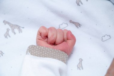 Yeni doğmuş bebek eli. Yüksek kalite fotoğraf