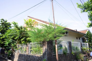 Sokağın köşesinde yanında ağaç olan bir ev lüks ve güzel görünüyor.