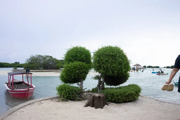 2023年4月24日パリ島のビーチの白い砂の上の小さな木 — ストック写真