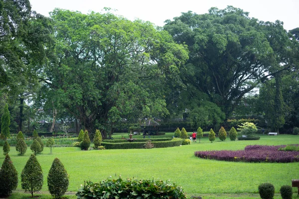 Kultowe Ogrody Botaniczne Bogor Rozległą Trawą Drzewami — Zdjęcie stockowe