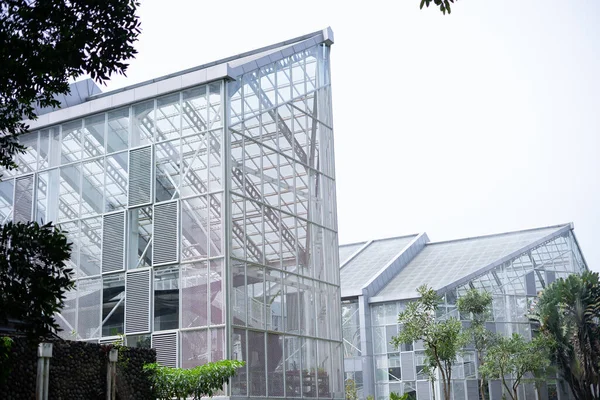 Beautiful Glass Greenhouse Protected Rare Plant Bogor Botanical Garden Indonesia — Stock Photo, Image