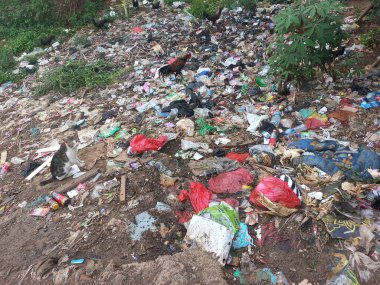 Yiyecek arayan çöpleri ve vahşi hayvanları barındıran geçici çöplükler.