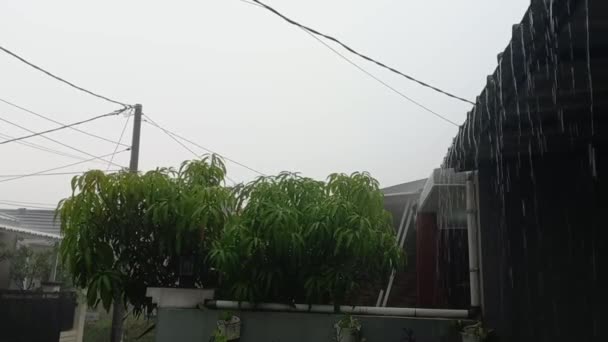 Tetesan Hujan Atap Rumah — Stok Video