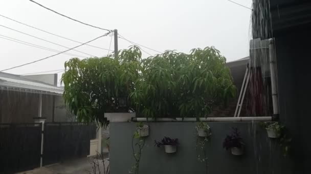家の屋根の上に雨が降り — ストック動画