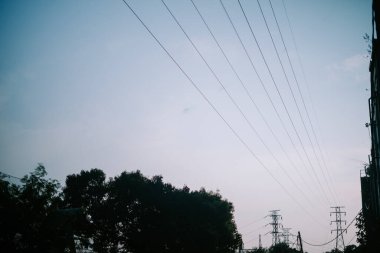 Geniş ağaçlar ve yüksek kablolar ile aydınlık bir sabah gökyüzüne karşı doğal bir manzara.