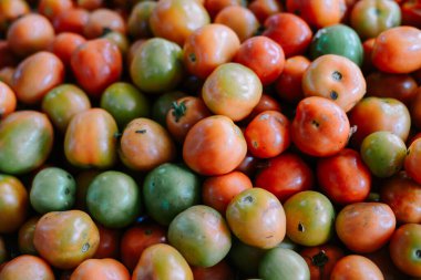 Domatesler kırmızı ve yeşildir. Genellikle bu domateslere Endonezya baharatlarından biri olan sebze domatesleri denir..