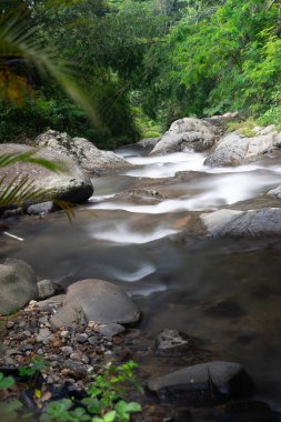 Güçlü akmayan küçük bir nehir birçok kişi tarafından nehrin ortasında oynamak için kullanılabilir.
