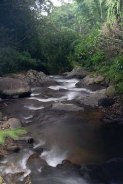 Güçlü akmayan küçük bir nehir birçok kişi tarafından nehrin ortasında oynamak için kullanılabilir.