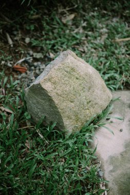 Çimlerin üzerinde büyük bir kaya