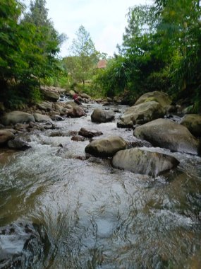 Dağda serin ve berrak bir nehir.