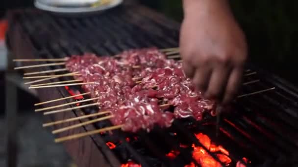 Fette Carne Trasformate Satay Sono Pronte Essere Grigliate Sulla Griglia — Video Stock