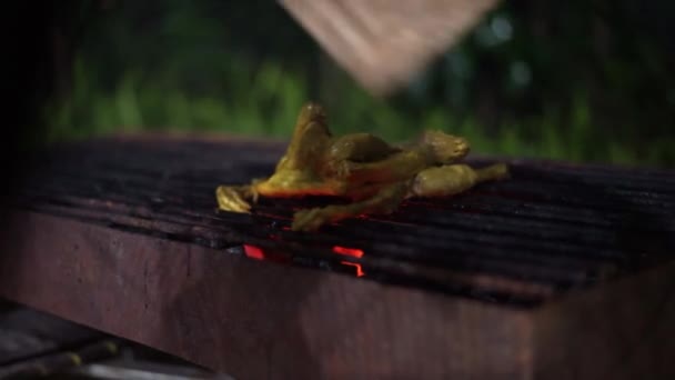 Ein Gegrilltes Huhn Mit Holzkohleglut — Stockvideo