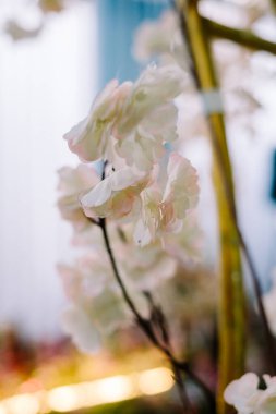 Düğün dekorasyonu için hazırlanmış yapay beyaz plastik çiçekler, atmosfere zarafet ve cazibe katıyor, özel durumlar için mükemmel..