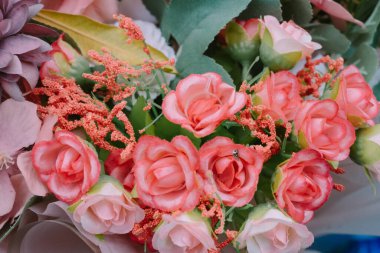 Yakut kırmızısı gül kümesi romantizmi ifade etmek için ideal.