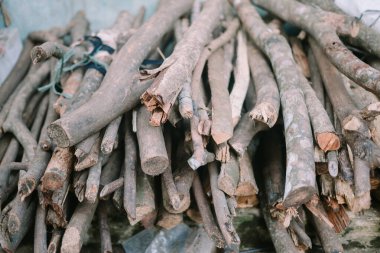 Yığınla odun, düzgün sıralanmış kütükler, ısıtma ve kamp ateşi için mükemmel..