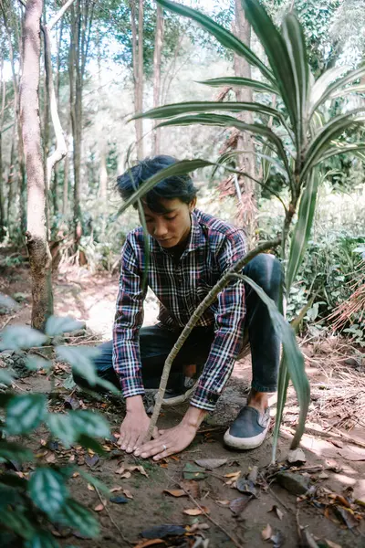 stock image Man of Asian descent choosing plant leaves for cutting, demonstrating meticulous care in gardening