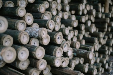 Satılık bambu çubukları, çeşitli inşaat projeleri için mükemmel.