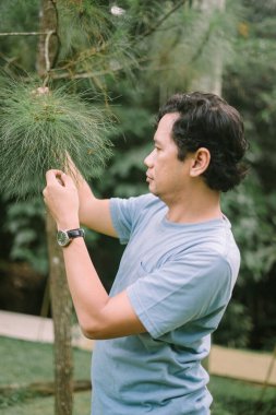 Güneydoğu Asyalı bir adam sık ormandaki yemyeşil yaprakları inceleyerek doğanın güzelliğini ve biyolojik çeşitliliğini yakalıyor.