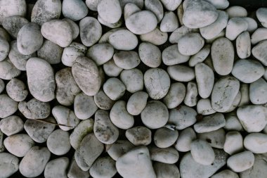 Pürüzsüz, beyaz nehir taşları düzgünce dizilmiş. Doğal güzellik, peyzaj ya da dekoratif öğeler için ideal ev ve bahçe tasarımı.