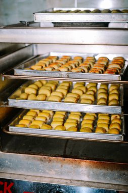 Pişirme işlemi sırasında ticari bir fırının yakın çekimi. İçinde altın bir kabuk elde etmek için bekleyen bir sürü tatlı ekmek var. Profesyonel bir mutfakta pişirme sürecini gösteriyor. Yemek üretimi ya da mutfak sanatı için mükemmel..