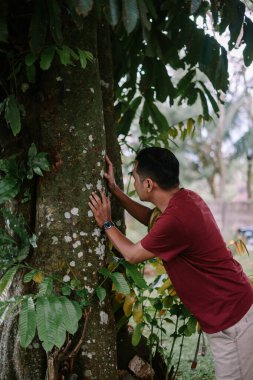Ağaç gövdesini inceleyen bir adam açık havada liken yetiştiriyor.