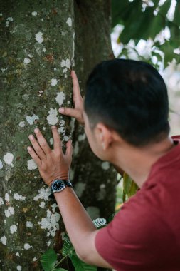 Yeşillik bir ormanda liken ile kaplı ağaç kabuğunun eşsiz dokusunu yakından inceleyen bir adam. Doğal dünyanın odaklı keşfi.