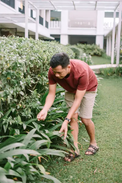 Bahçede yeşillik yetiştiren bir adam. Açık hava aktivitesi, bahçedeki yeşilliklerle ilgilenme. Yerleşim alanı bakımı ve bahçıvanlık