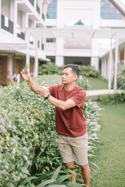 Adam yemyeşil bir bahçedeki yaprakları inceliyor. Bitkiyi dikkatle inceliyor, sessiz bir düşünce sergiliyor..