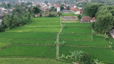Hava sükuneti, pirinç terasları ve bereketli köy manzarası keşfi.