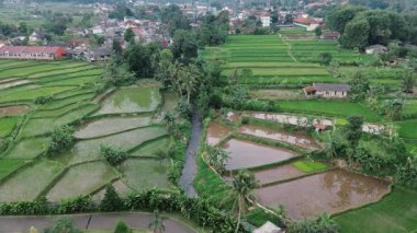 Hava sükuneti, pirinç terasları ve bereketli köy manzarası keşfi.