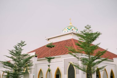 Yumuşak bir gökyüzünün altında canlı yeşil ağaçlarla çerçevelenmiş eşsiz bir kubbe ve kemerli girişleri olan modern bir cami tasarımı. Huzurlu ve davetkar mimari dua ve yansıma için.