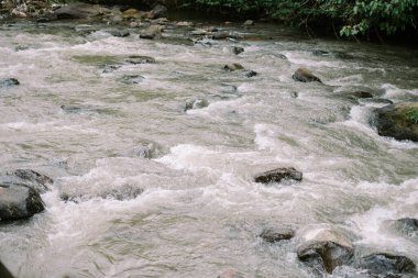 Hızlı nehir kayaların üzerinden akar. Doğal ortamda çağlayan su manzarası.