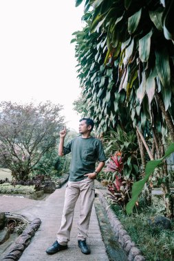 Yeşillik bahçesinde yukarı bakan bir adam. Tropikal yapraklar onu çevrelemiş..