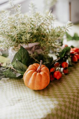 Küçük, canlı bir balkabağı ve yeşil bir bitkinin pencere pervazında dinlendiği sonbahardan esinlenilmiş rahat bir sahne..
