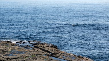 Enoshima, Japonya 'da güzel bir okyanus manzarası