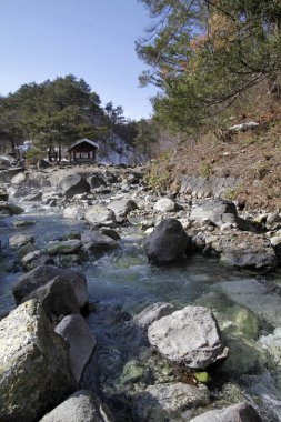 Japonya 'nın Kusatsu Onsen kentindeki ormandan geçen sıcak suyu olan bir nehir.