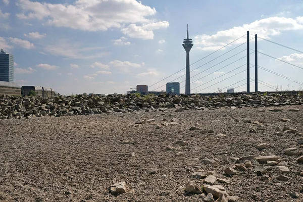 气候变化 德国杜塞尔多夫的莱茵河在干涸的河床上萎缩并露出岩石 — 图库照片