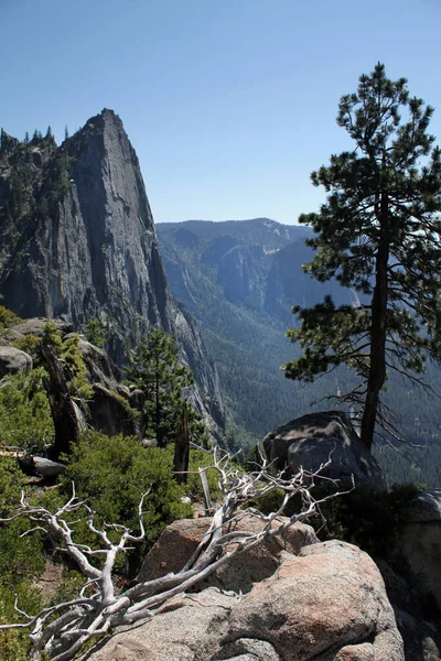 Yosemite Ulusal Parkı 'nın dağlarına bakın.