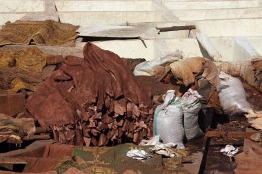 Marakeş, Fas - 12 Eylül 2019: Tabakhanedeki işçiler deri üretim sürecinin bir sonraki adımı için derileri hazırlıyorlar