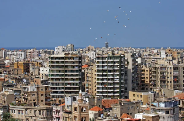 Stadtbild Von Tripolis Libanon Mit Tauben Gegen Den Blauen Himmel — Stockfoto