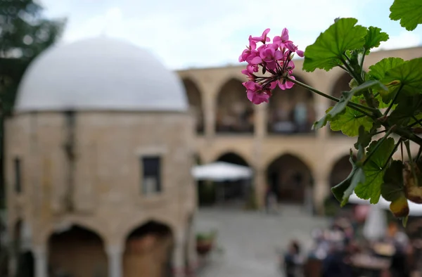 Blume Der Byk Han Der Größten Karawanserei Auf Zypern — Stockfoto