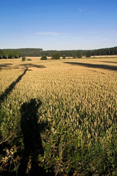 Shadow Pilgrim Looking Field Next Path — Stock Photo, Image