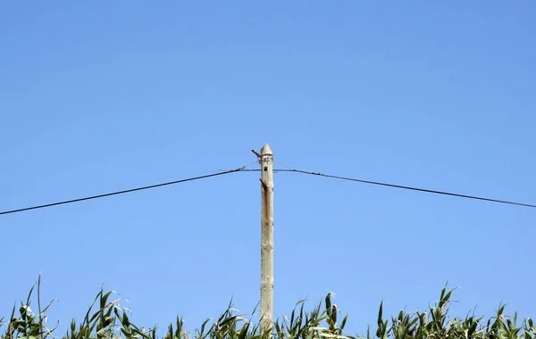 Pole Mit Stromleitung Gegen Den Blauen Himmel — Stockfoto