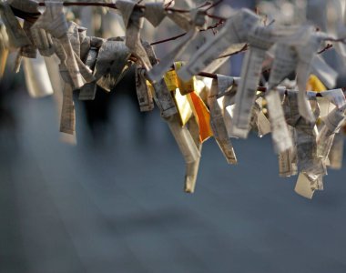 Japonya 'da kağıt yıldız fallarına yakın çekim