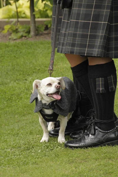 Happy dog next to man in kilt during a wedding ceremony in Scotland
